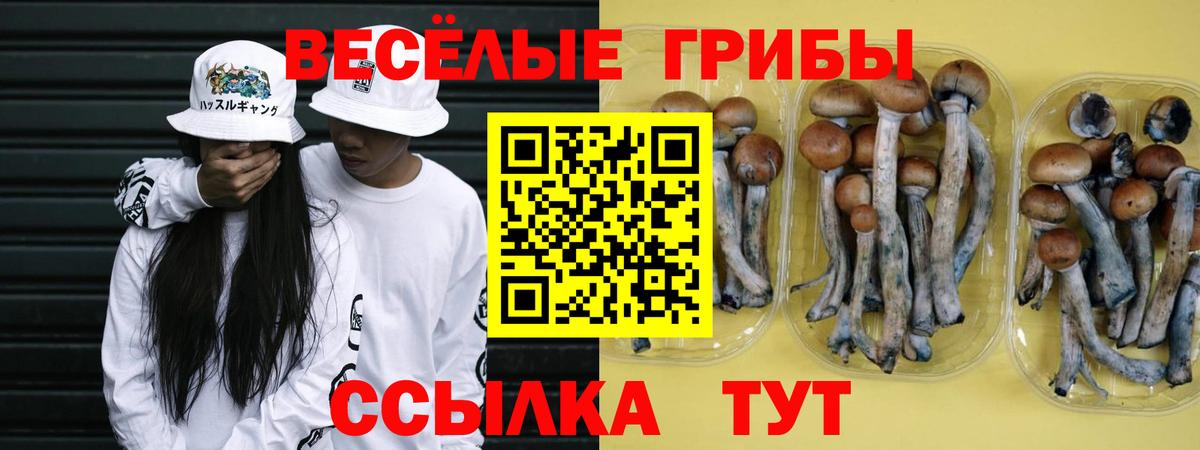 Галлюциногенные грибы MAGIC MUSHROOMS  Галлюциногенные грибы Psilocybine cubensis  Димитровград  Вход с VPN 