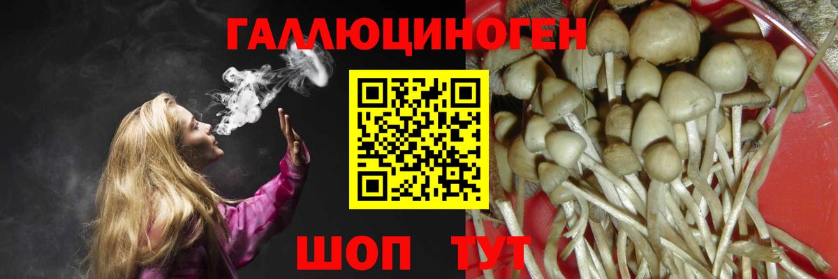 Лсд 25 Димитровград