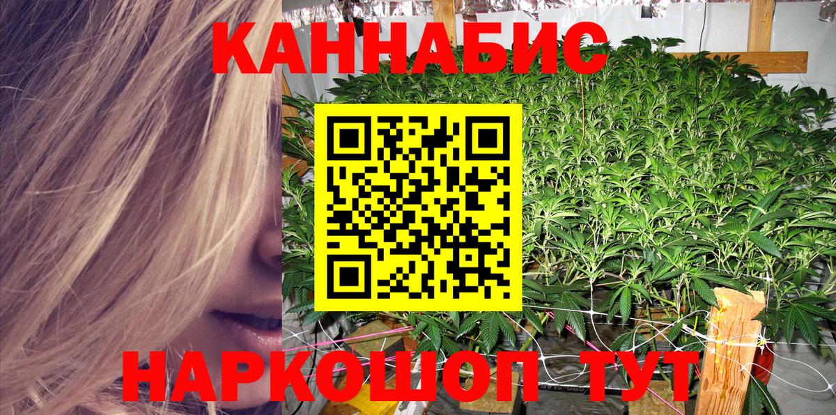 Каннабис ГИДРОПОН Димитровград